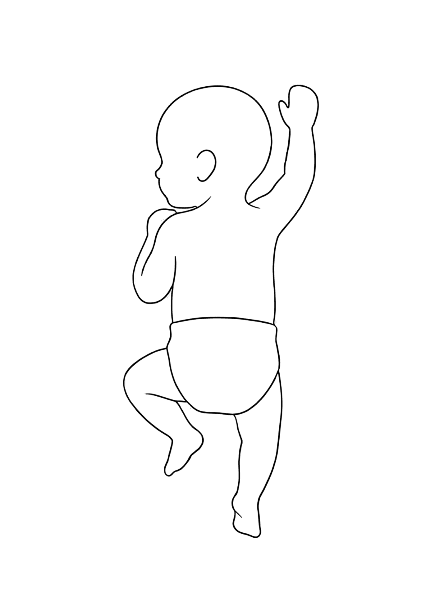 Nova 1